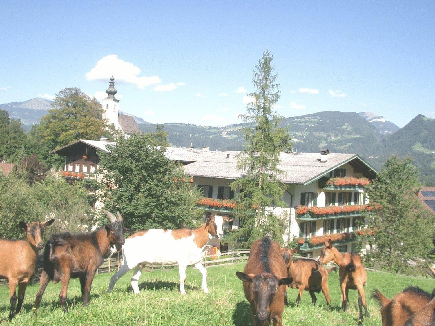Torrenerhof Ξενοδοχείο Golling an der Salzach Εξωτερικό φωτογραφία