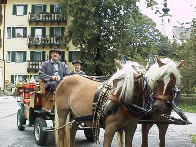 Torrenerhof Ξενοδοχείο Golling an der Salzach Εξωτερικό φωτογραφία